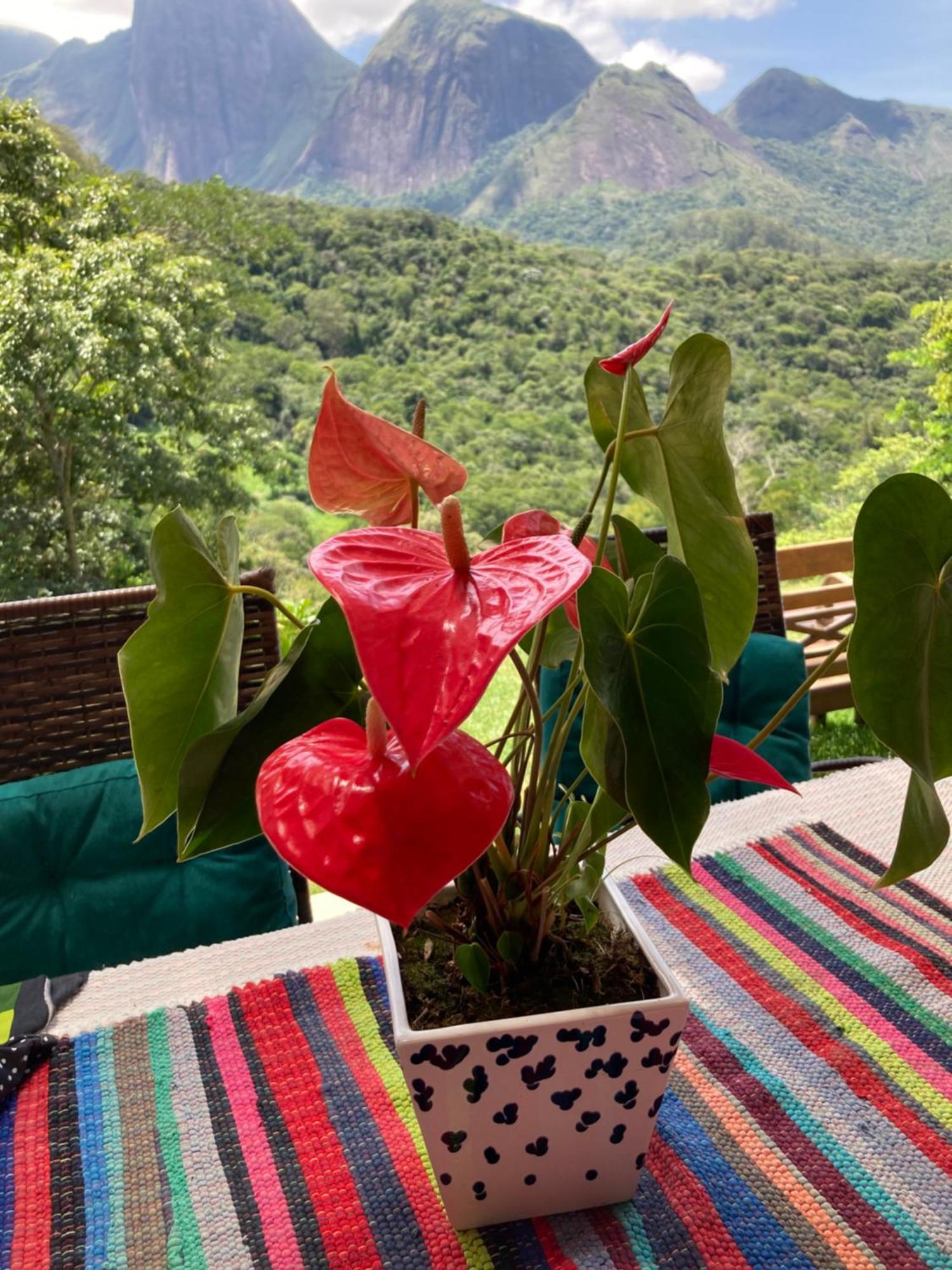 A Cabana Mais Bucolica De Araras Petrópolis Extérieur photo
